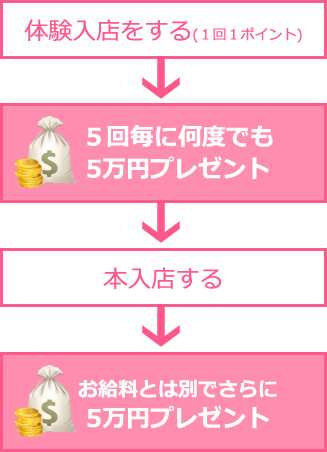 体験入店ポイントラリーの流れ図